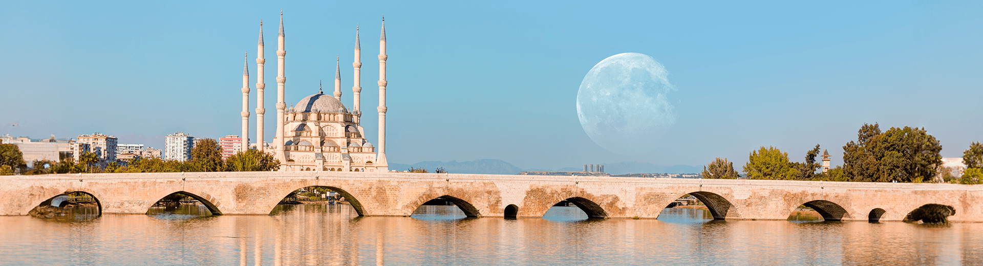 adana araç kiralama