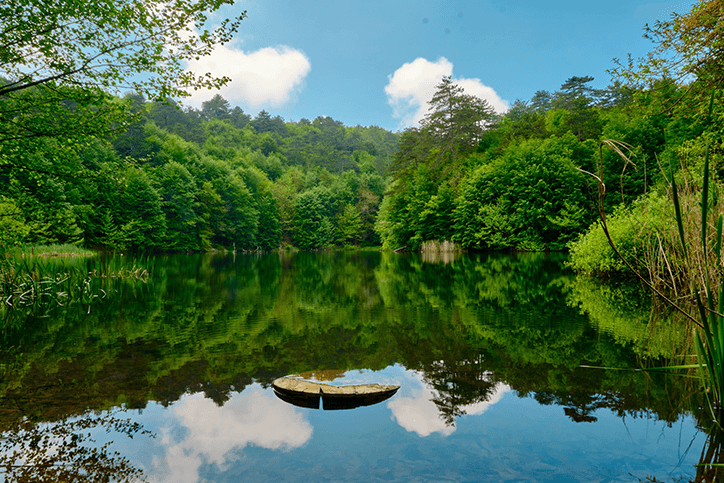 Tarihi Köşklerden Serin Şelalelere: Yalova'da Gezilecek Yerler